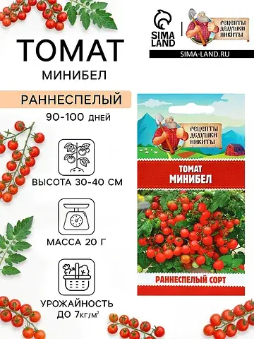Семена томат комнатный