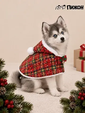 Костюм для животных Пижон