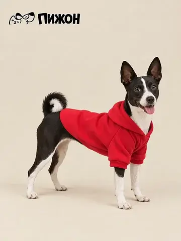 Толстовка с капюшоном, размер 2xl (дс 40