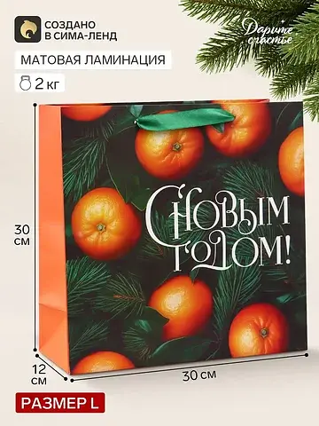 Пакет подарочный