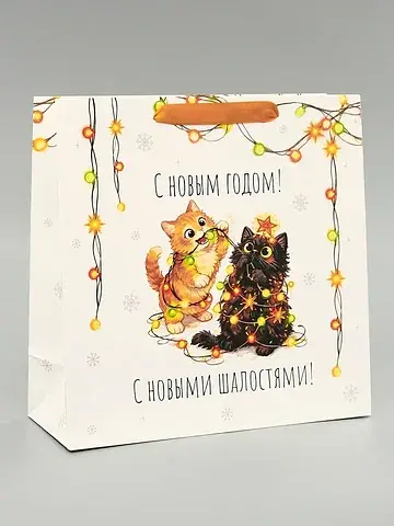Пакет ламинированный квадратный