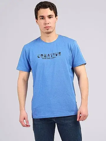 Футболка мужская CLEVER