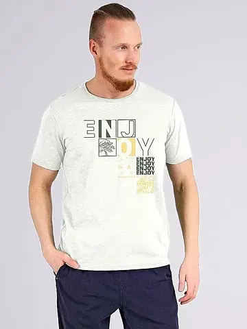 Футболка мужская CLEVER