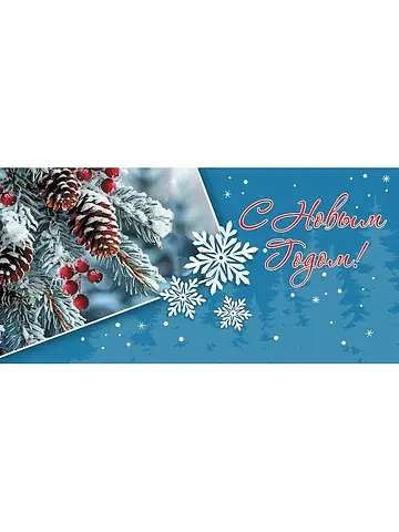 Конверт для денег С Новым Годом! (10 шту