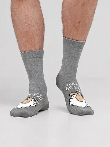 Носки мужские CLEVER