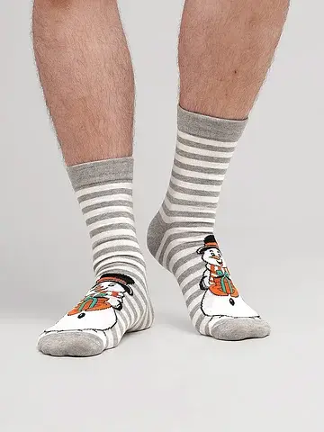 Носки мужские CLEVER