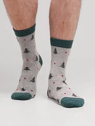 Носки мужские CLEVER