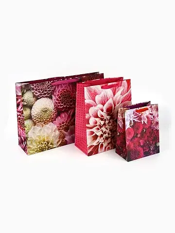 Пакеты подарочные ламинированные