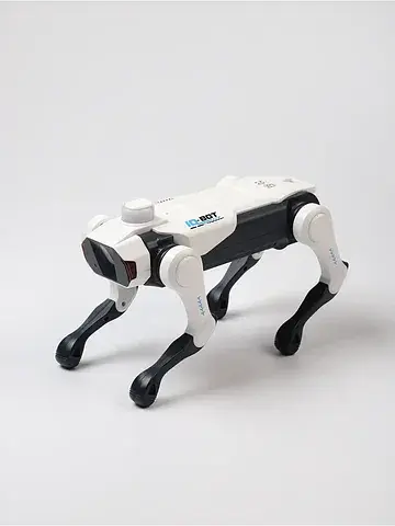 Робот IQ BOT