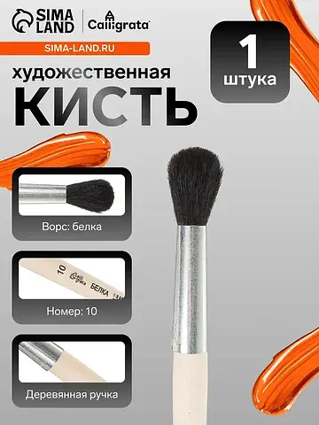 Кисть для рисования, белка, № 10, , круг