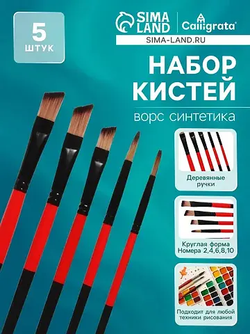 Кисти для рисования, нейлон, 5 штук, кру