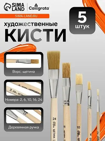 Кисти для рисования, щетина, 5 штук: №: 