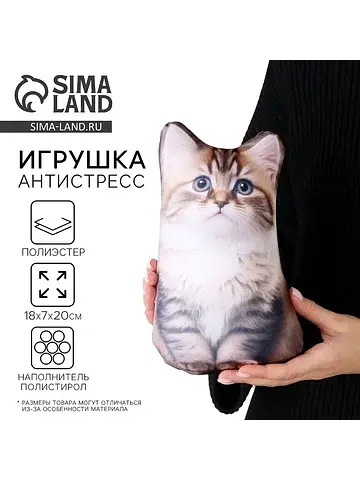 Антистресс игрушка