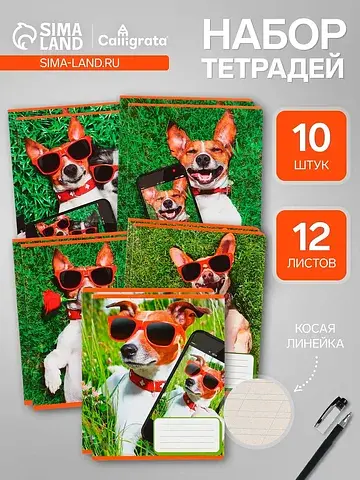Тетради 10 штук, 12 листов в косую линию