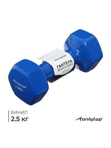 Гантель виниловая , 2.5 кг, синяя