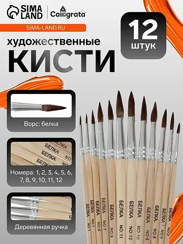 Кисти для рисования, белка, 12 штук: № 1