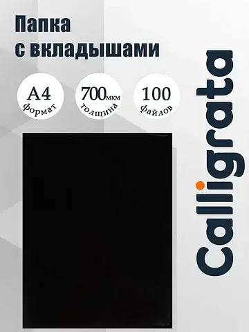 Папка с 100 вкладышами а4, 700 мкм, , те
