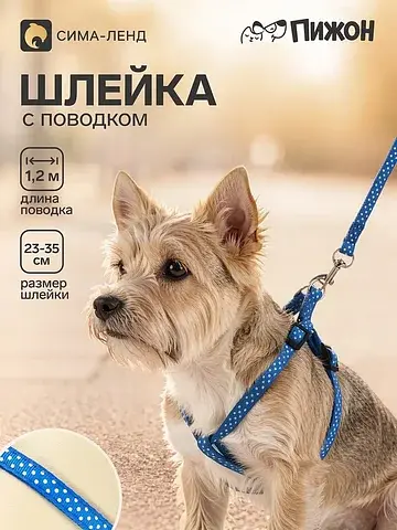 Комплект прошитый Пижон