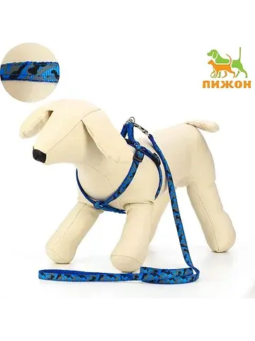 Шлейка с поводком Пижон