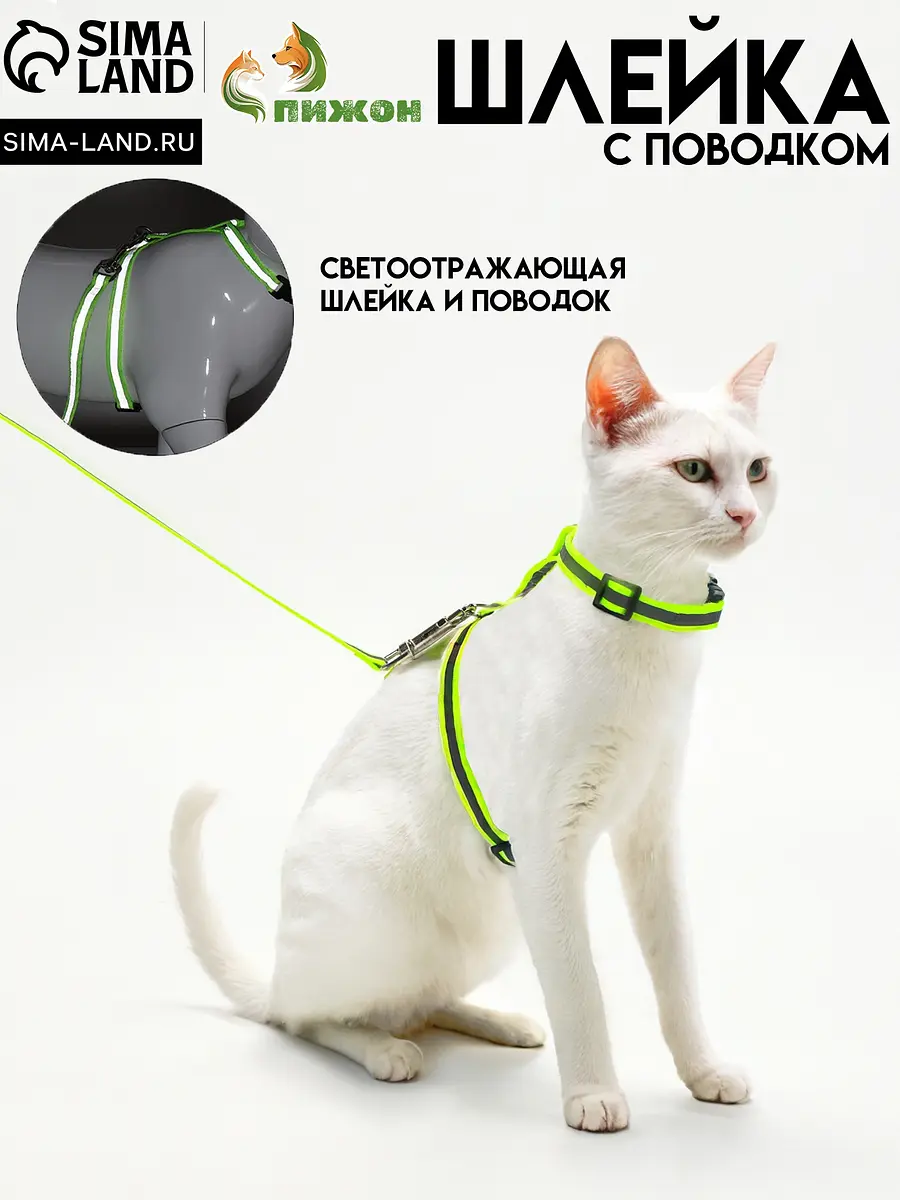 Комплект для кошек светоотражающий шлейка и поводок зелёный
