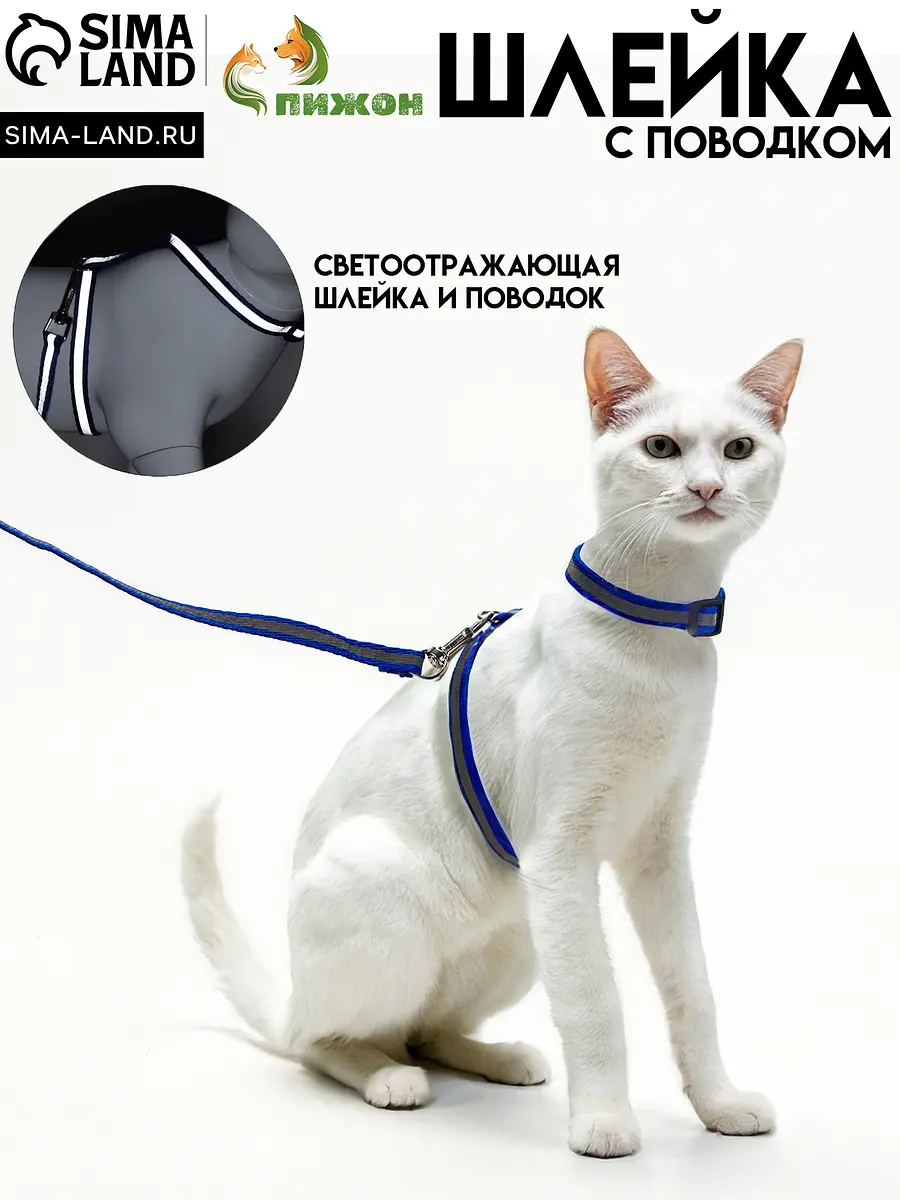 Комплект для кошек шлейка и поводок светоотражающий синий