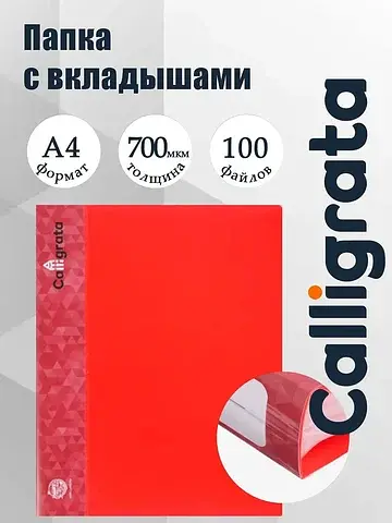Папка с 100 вкладышами а4, 700 мкм, , ка
