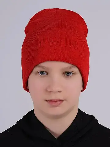 Шапка детская CLEVER