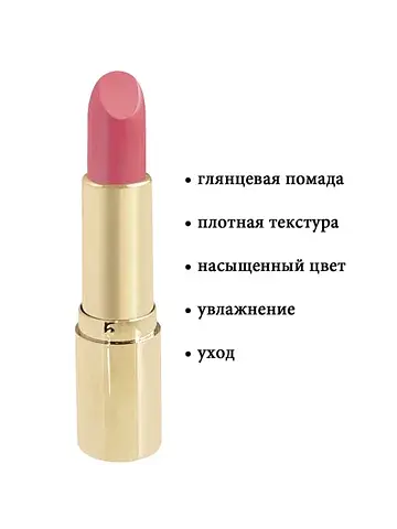 Помада губная In Gold Глянцевая 106 насы