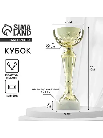Кубок спортивный, подставка камень, 17.3